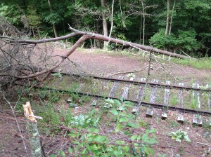 Old Huckleberry Tracks