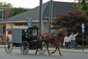 Amish buggy