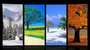 seasons